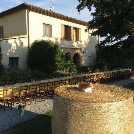 Agriturismo Giuncola & Granaiolo Риспеша Екстериор снимка