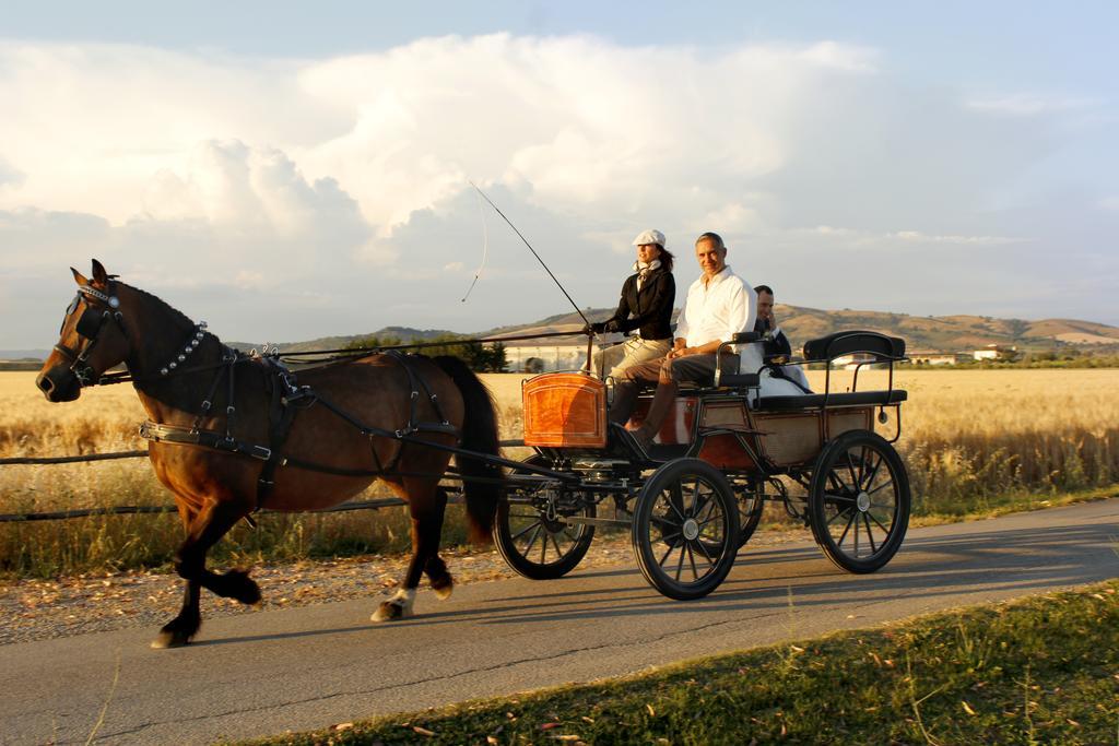 Agriturismo Giuncola & Granaiolo Риспеша Екстериор снимка