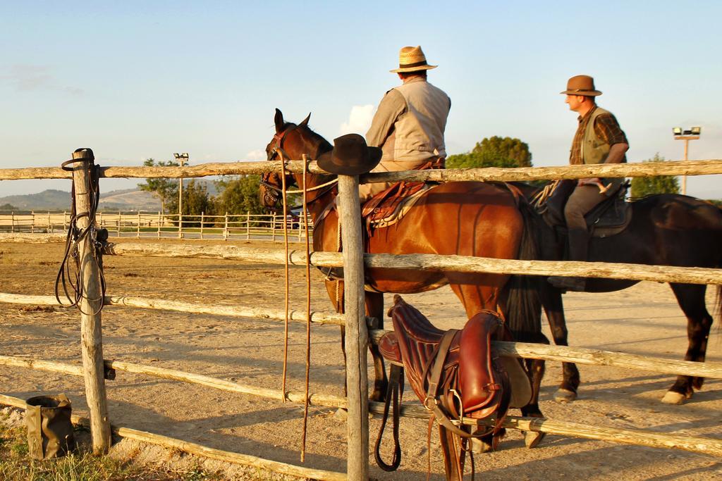Agriturismo Giuncola & Granaiolo Риспеша Екстериор снимка