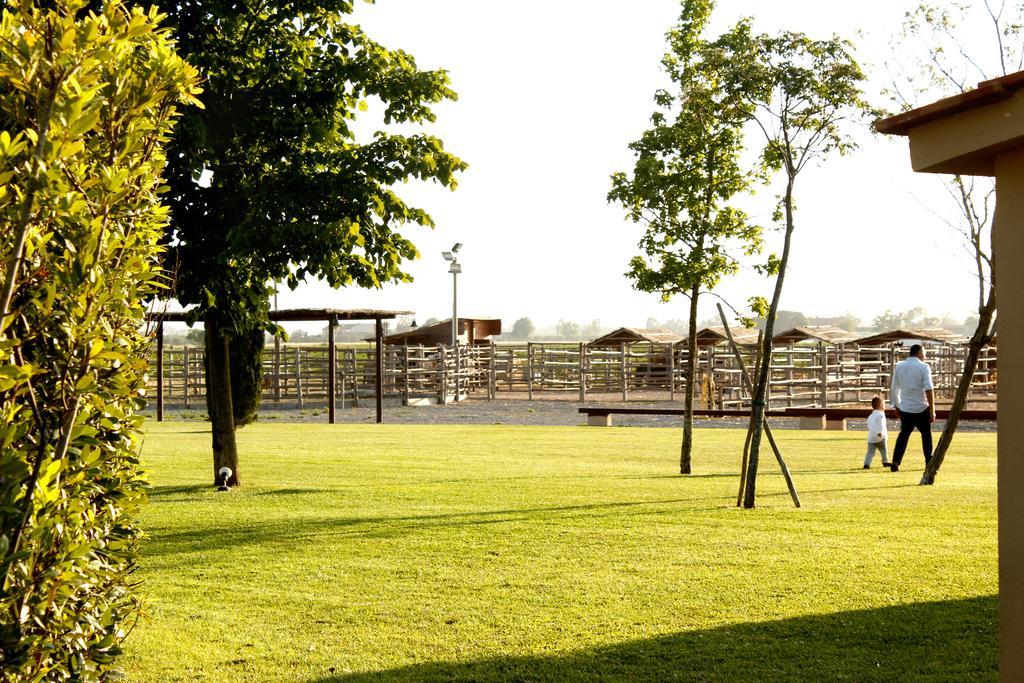 Agriturismo Giuncola & Granaiolo Риспеша Екстериор снимка