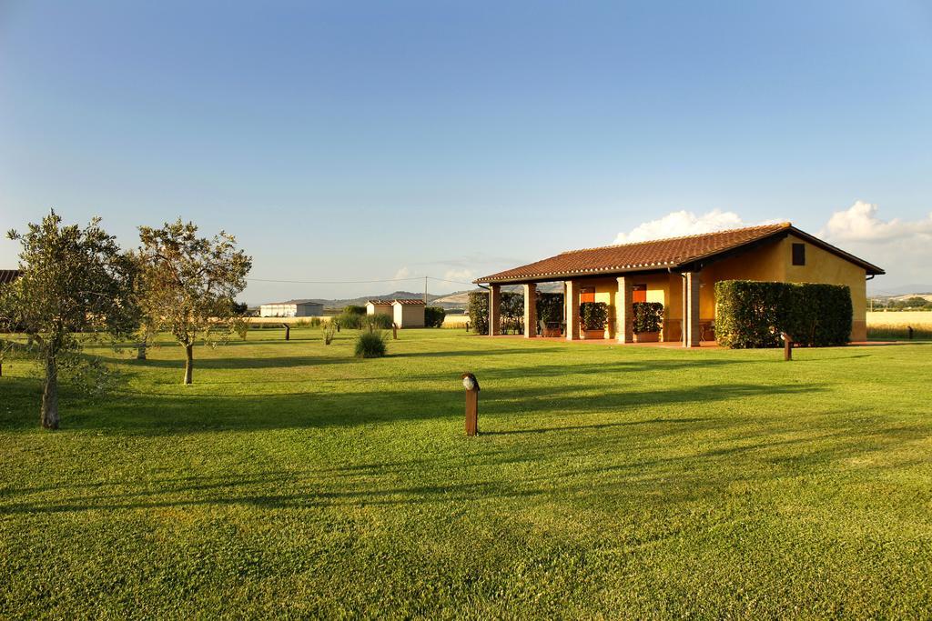 Agriturismo Giuncola & Granaiolo Риспеша Екстериор снимка