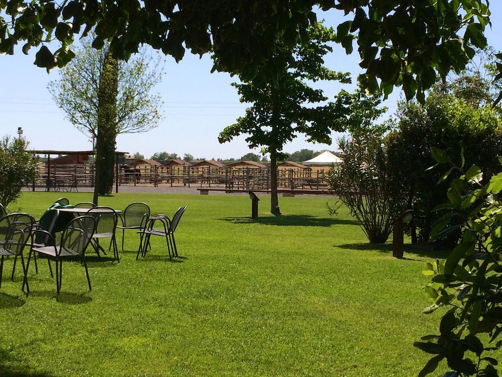 Agriturismo Giuncola & Granaiolo Риспеша Екстериор снимка