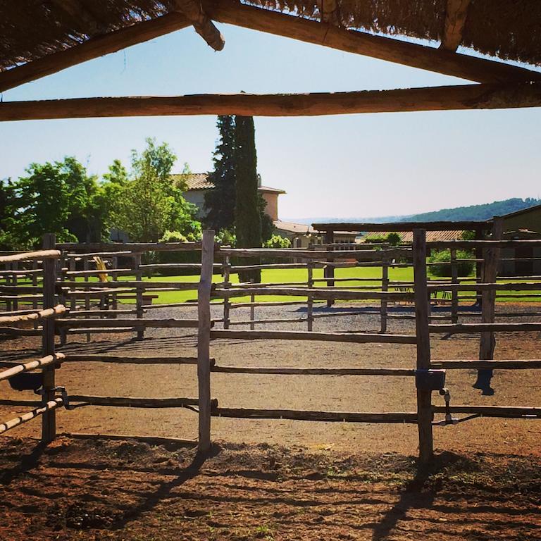 Agriturismo Giuncola & Granaiolo Риспеша Екстериор снимка