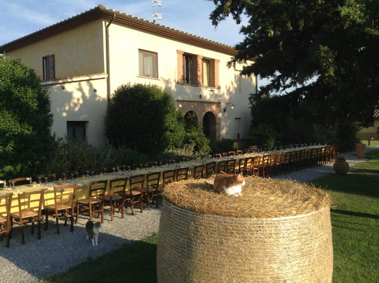 Agriturismo Giuncola & Granaiolo Риспеша Екстериор снимка